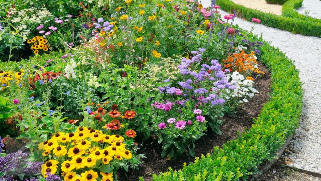 Inilah Beberapa Rekomendasi Bunga Cantik untuk Taman Anda
