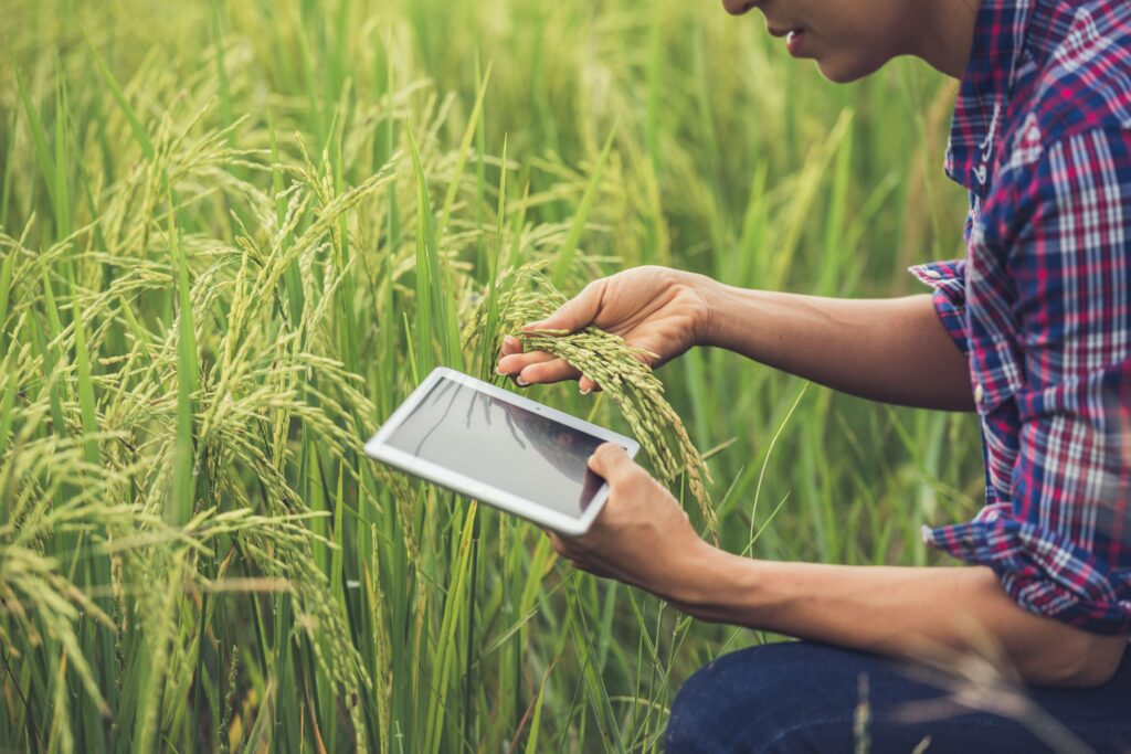 Manfaat Digitalisasi Pertanian: Mengubah Ladang ke Dunia Digital