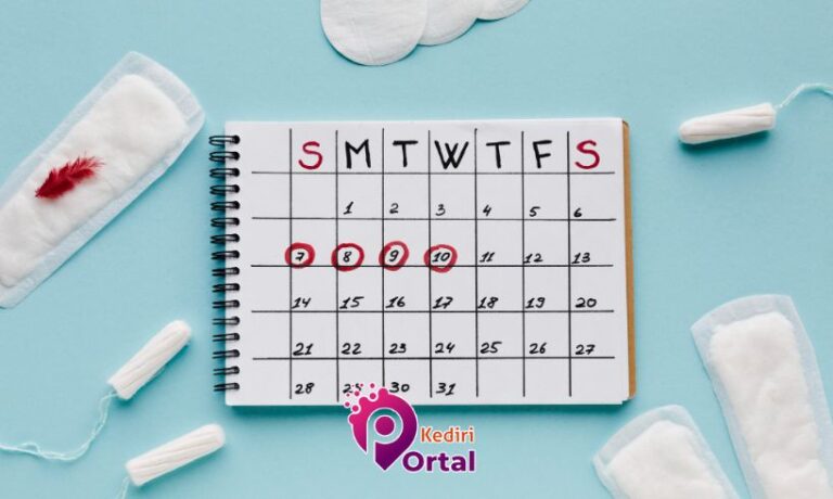 kalender menstruasi