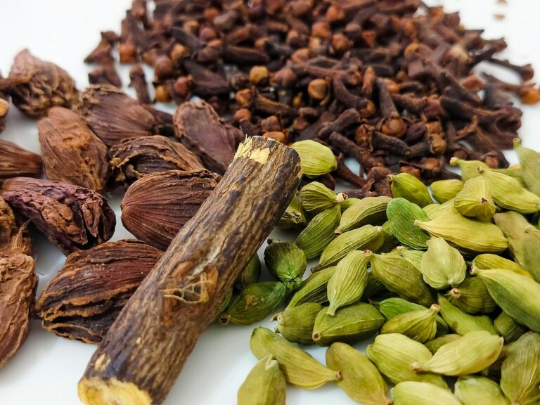 Bisnis tanaman herbal dan rempah
