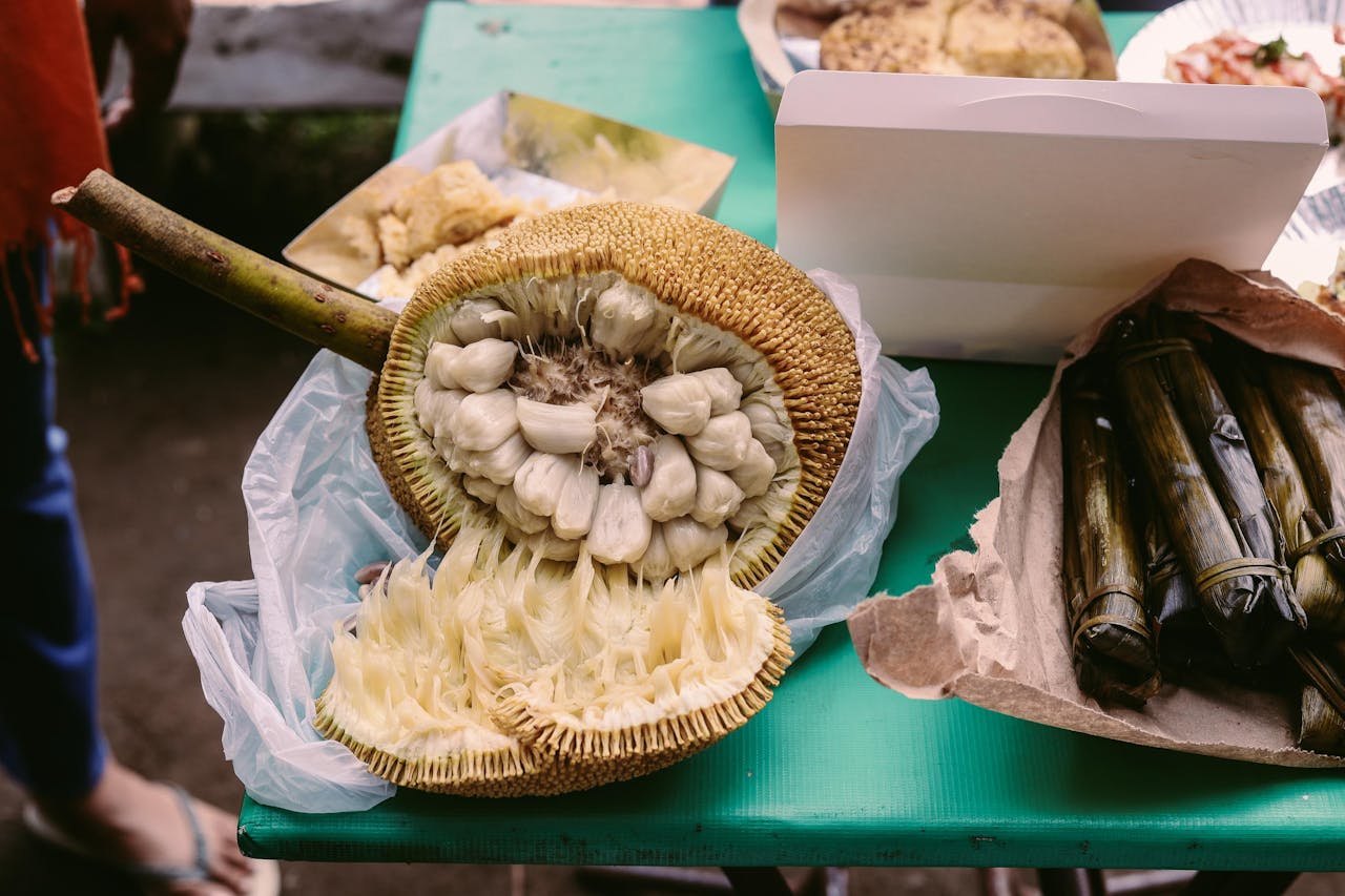 manfaat Cempedak