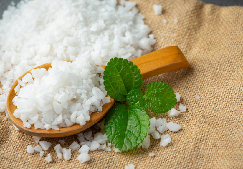 Gula stevia